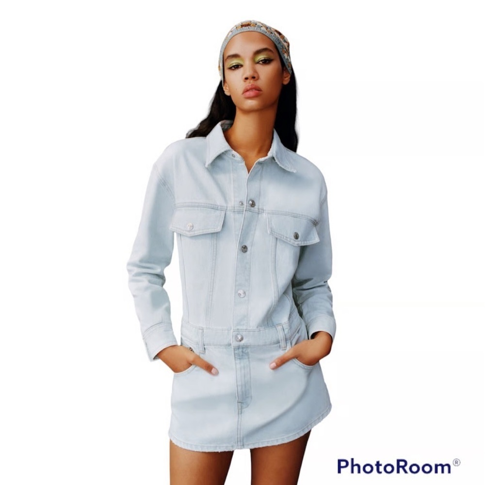 Zara Long Sleeve Drop Waist Denim Dress